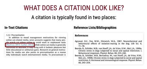 Can I cite someone else's citation APA?