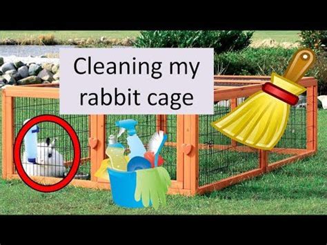 Can I clean my rabbits cage with vinegar?