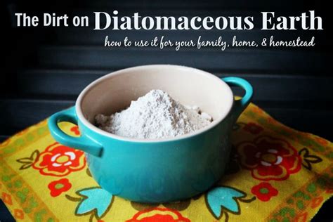 Can I drink diatomaceous earth every day?
