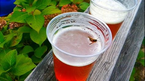 Can I drink my drink if a bee was in it?
