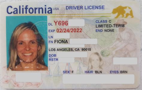 Can I drive in California with European license?