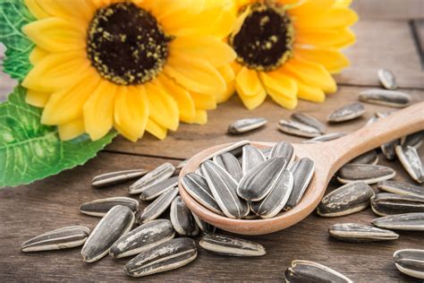 Can I eat 100 grams of sunflower seeds?