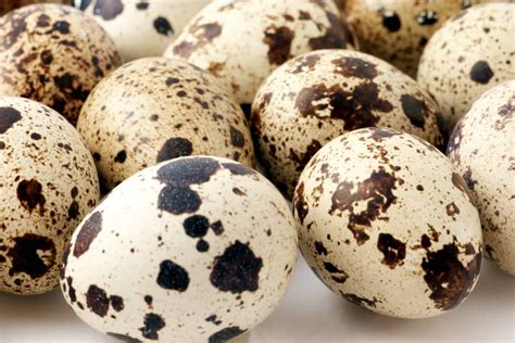 Can I eat 12 quail eggs?