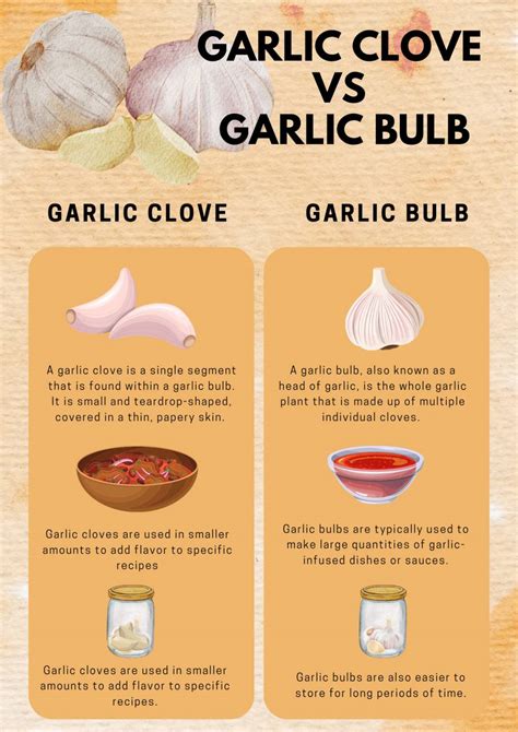 Can I eat 2 bulbs of garlic?