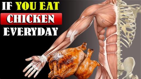 Can I eat chicken everyday for muscle gain?