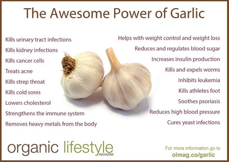 Can I eat garlic instead of antibiotics?