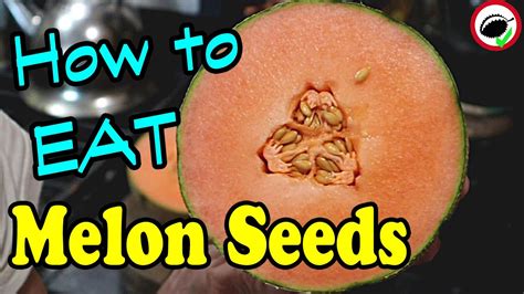Can I eat melon seeds?