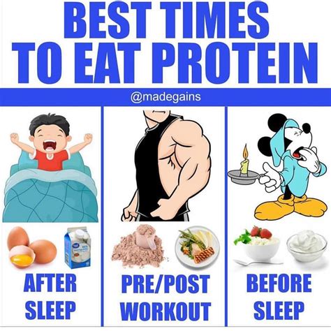 Can I eat protein every 3 hours?