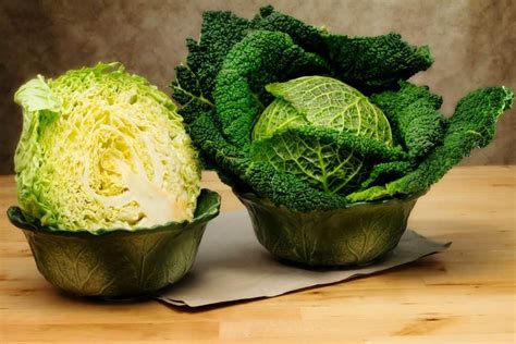 Can I eat raw cabbage?