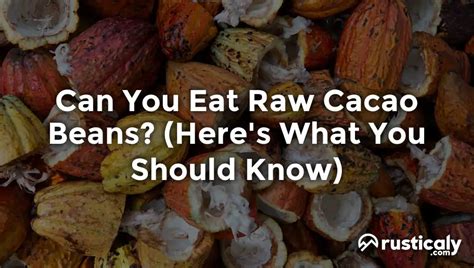 Can I eat raw cocoa?