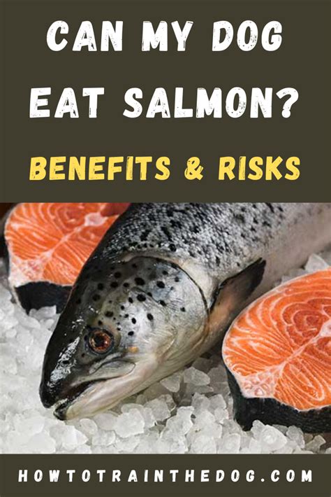 Can I eat too much salmon?