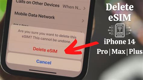 Can I erase eSIM?