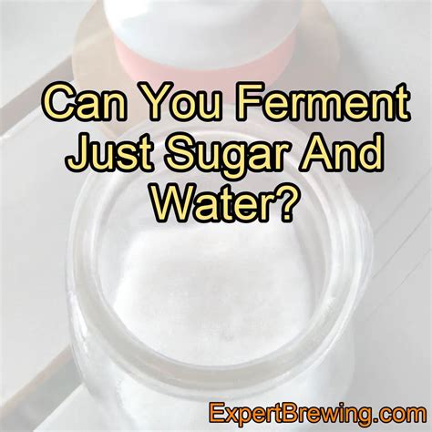 Can I ferment just sugar?