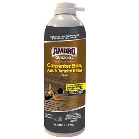 Can I fill carpenter bee holes with spray foam?