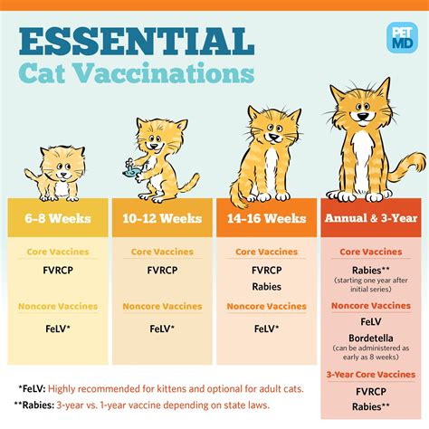 Can I give my cat vaccines myself?