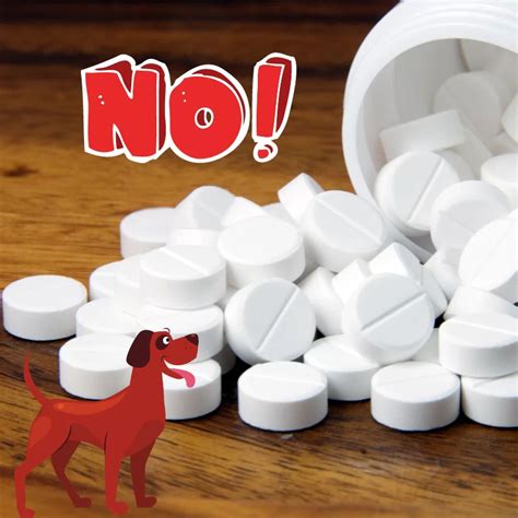 Can I give my dog half a 500mg paracetamol?