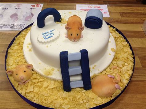 Can I give my hamster cake?