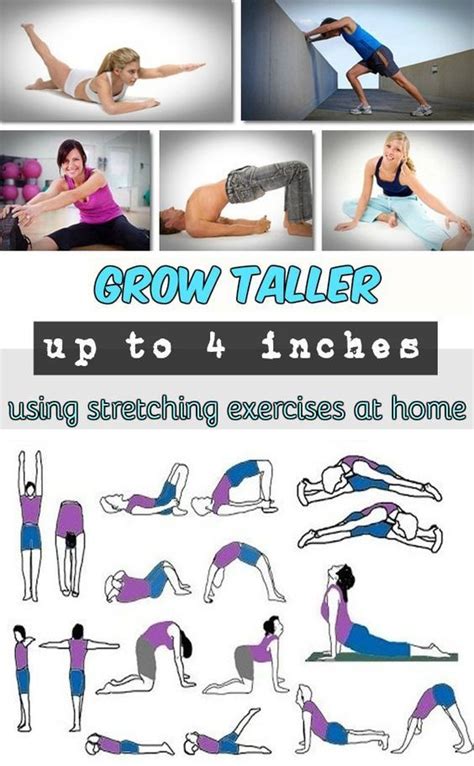 Can I grow 1 inch by stretching?