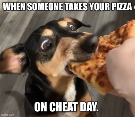 Can I have pizza on my cheat day?