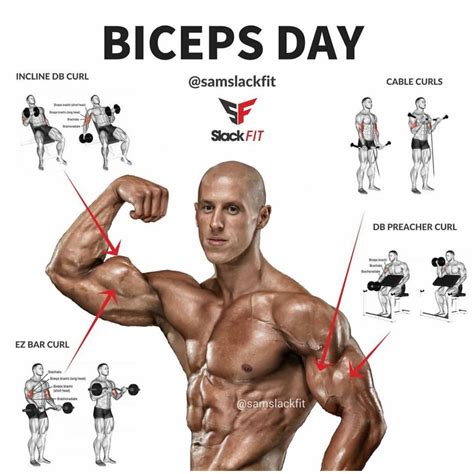 Can I hit biceps on push day?
