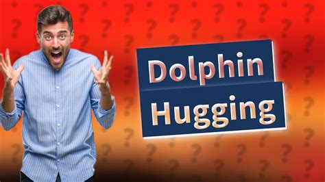 Can I hug a dolphin?