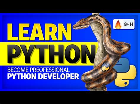 Can I learn Python in 8 hours?