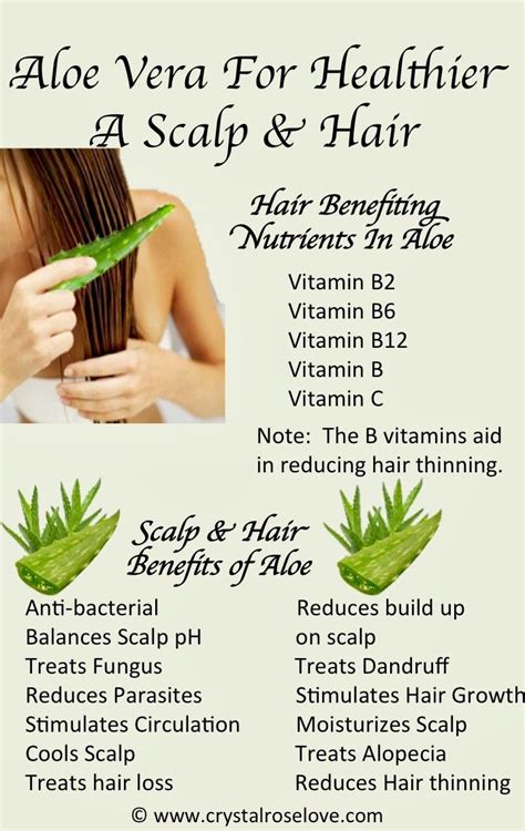 Can I leave aloe vera in my hair?