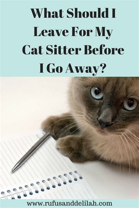 Can I leave my cat with a sitter for 2 weeks?