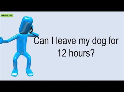 Can I leave my dog for 12 hrs?