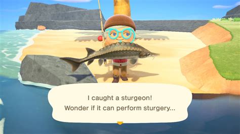 Can I leave my fish outside Animal Crossing?