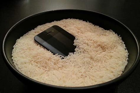 Can I leave my phone in rice for an hour?