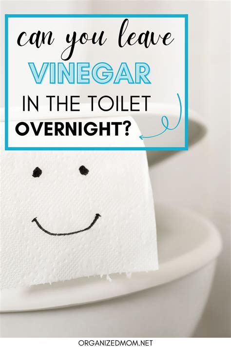 Can I leave vinegar in toilet overnight?