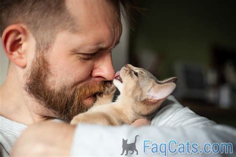 Can I let my cat lick my face?