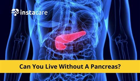 Can I live without my pancreas?