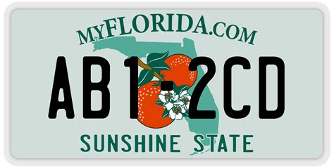 Can I look up the owner of a Florida license plate?