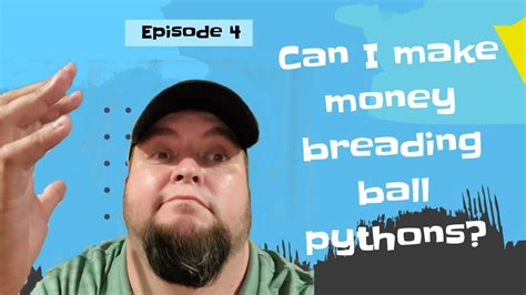 Can I make money with only Python?