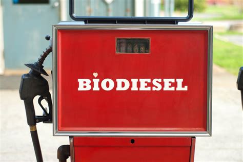 Can I make my own biodiesel?