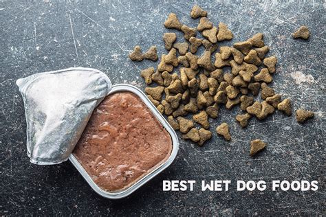 Can I make my own wet dog food?