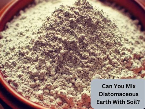 Can I mix diatomaceous earth with soil?