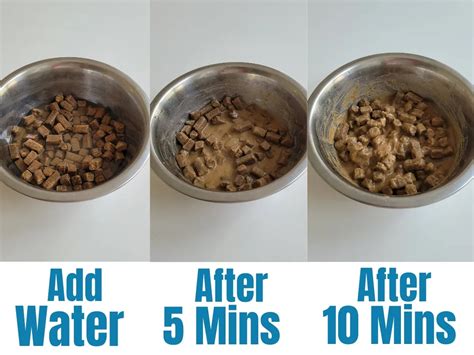 Can I mix kibble with wet dog food?