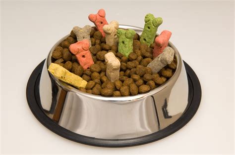 Can I mix two dry dog foods together?