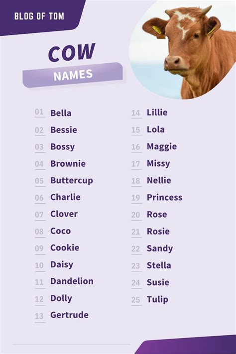 Can I name a cow?