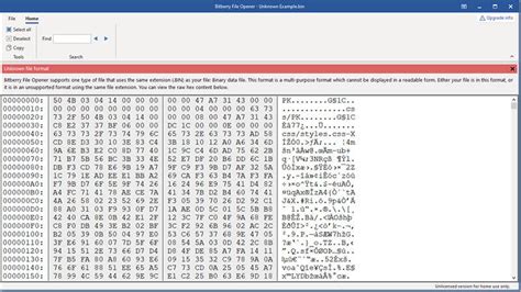 Can I open a binary file?