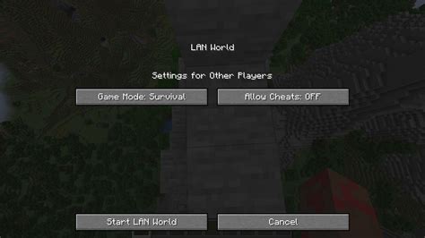 Can I play Minecraft over LAN?