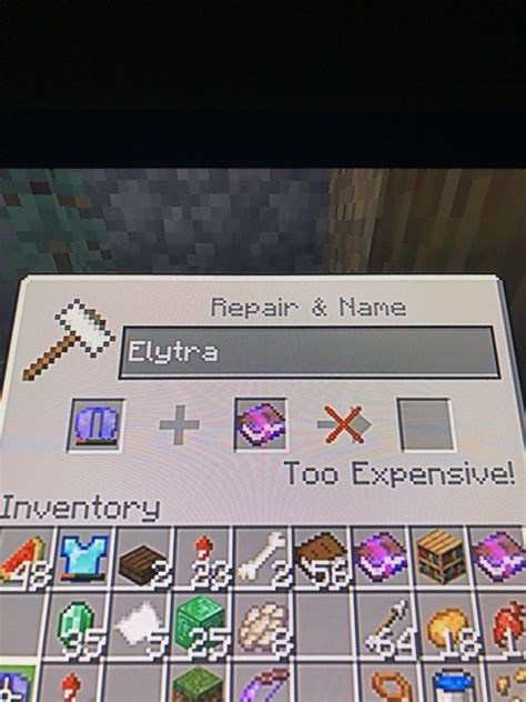 Can I put Unbreaking on elytra?