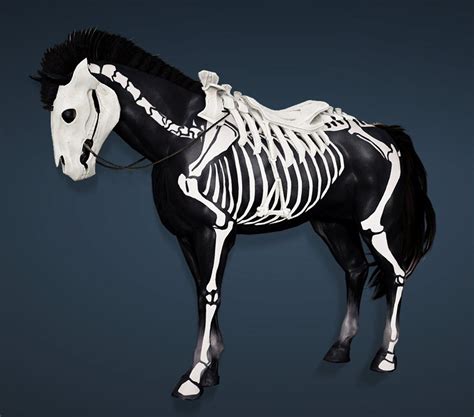 Can I put armor on a skeleton horse?