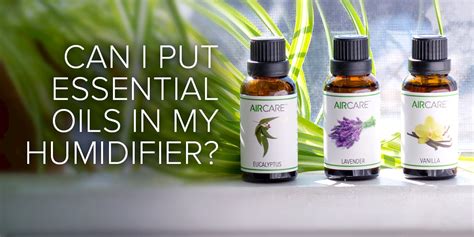 Can I put essential oils in my humidifier?