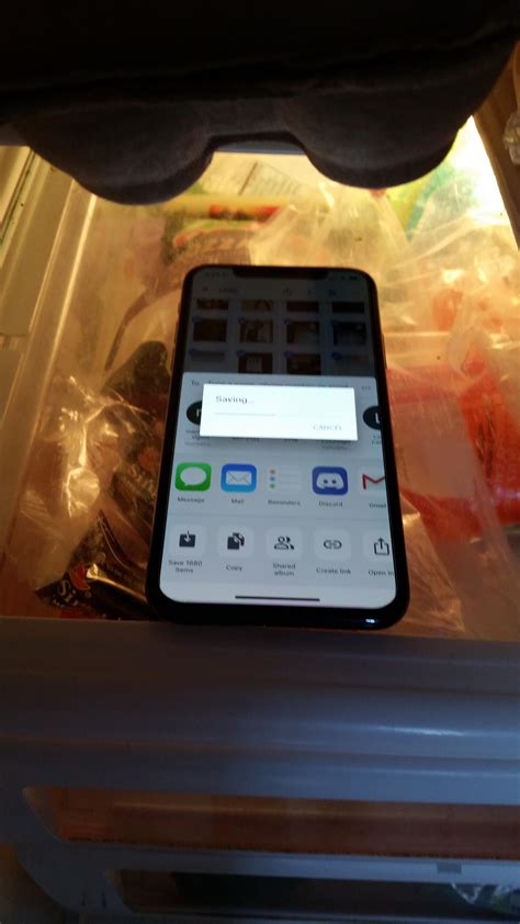 Can I put iPhone in fridge?