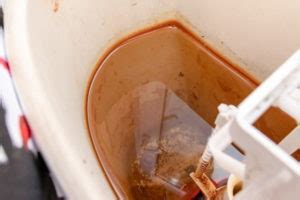 Can I put limescale remover in toilet tank?