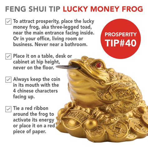 Can I put money frog in my room?